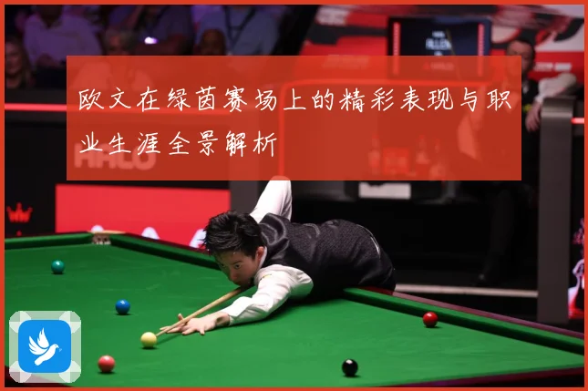 欧文在绿茵赛场上的精彩表现与职业生涯全景解析